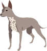 Картинка щенка Дога