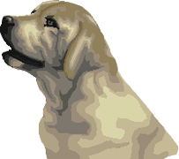 Картинка собаки