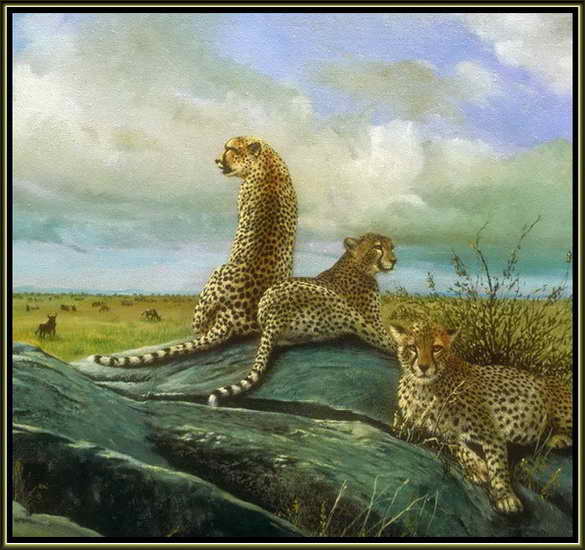 Изображение трёх Гепардов