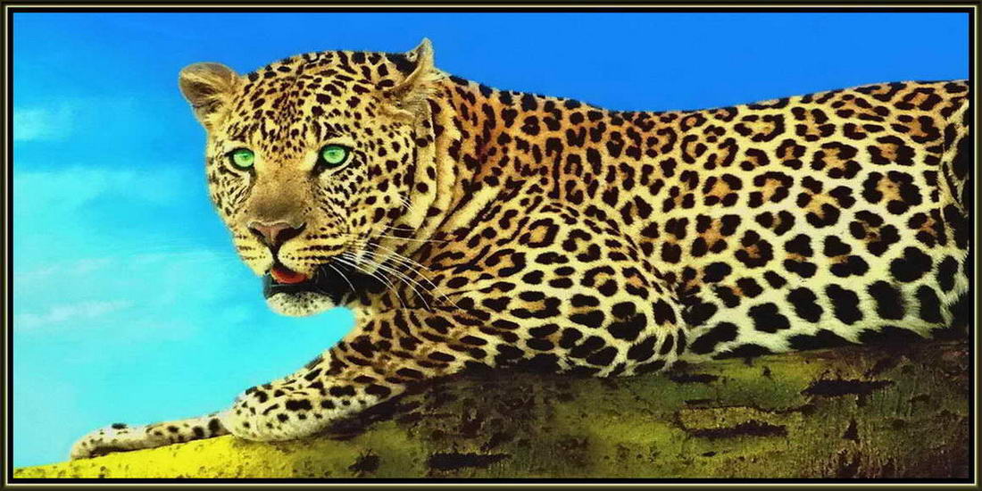 Большая Фотография Леопарда