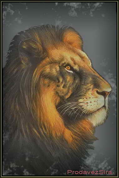 Портрет картина льва