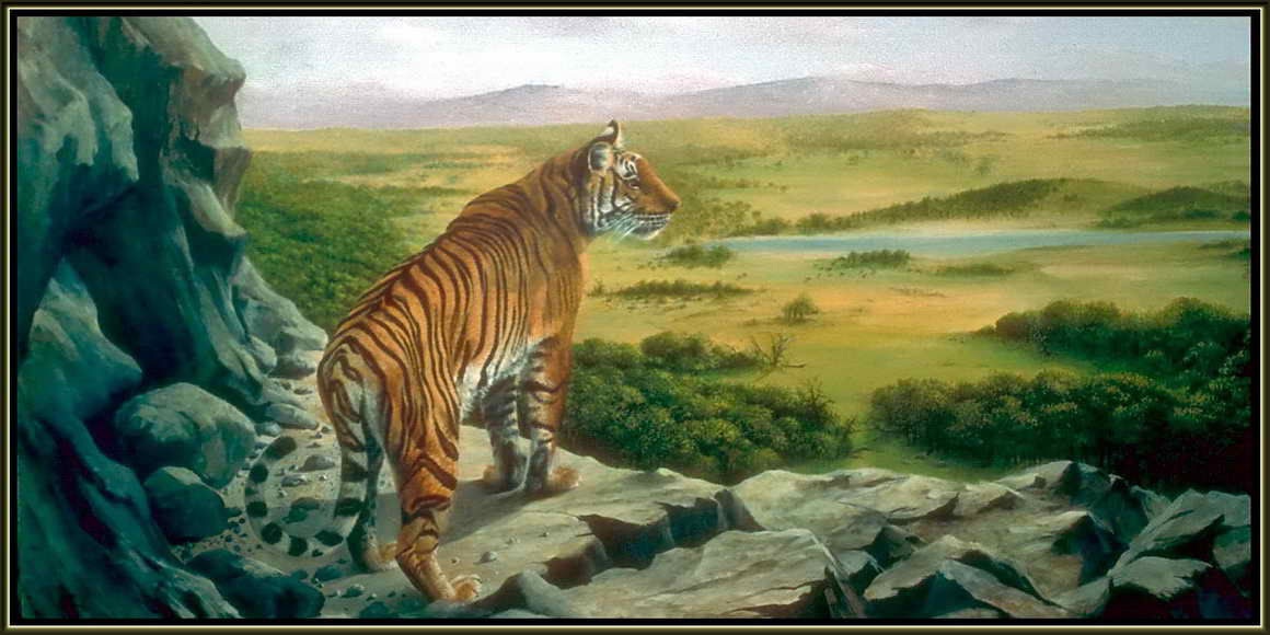 Картина Тигра на природе