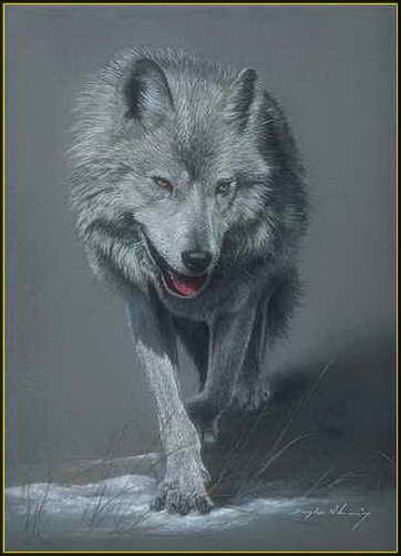 Картинка волк